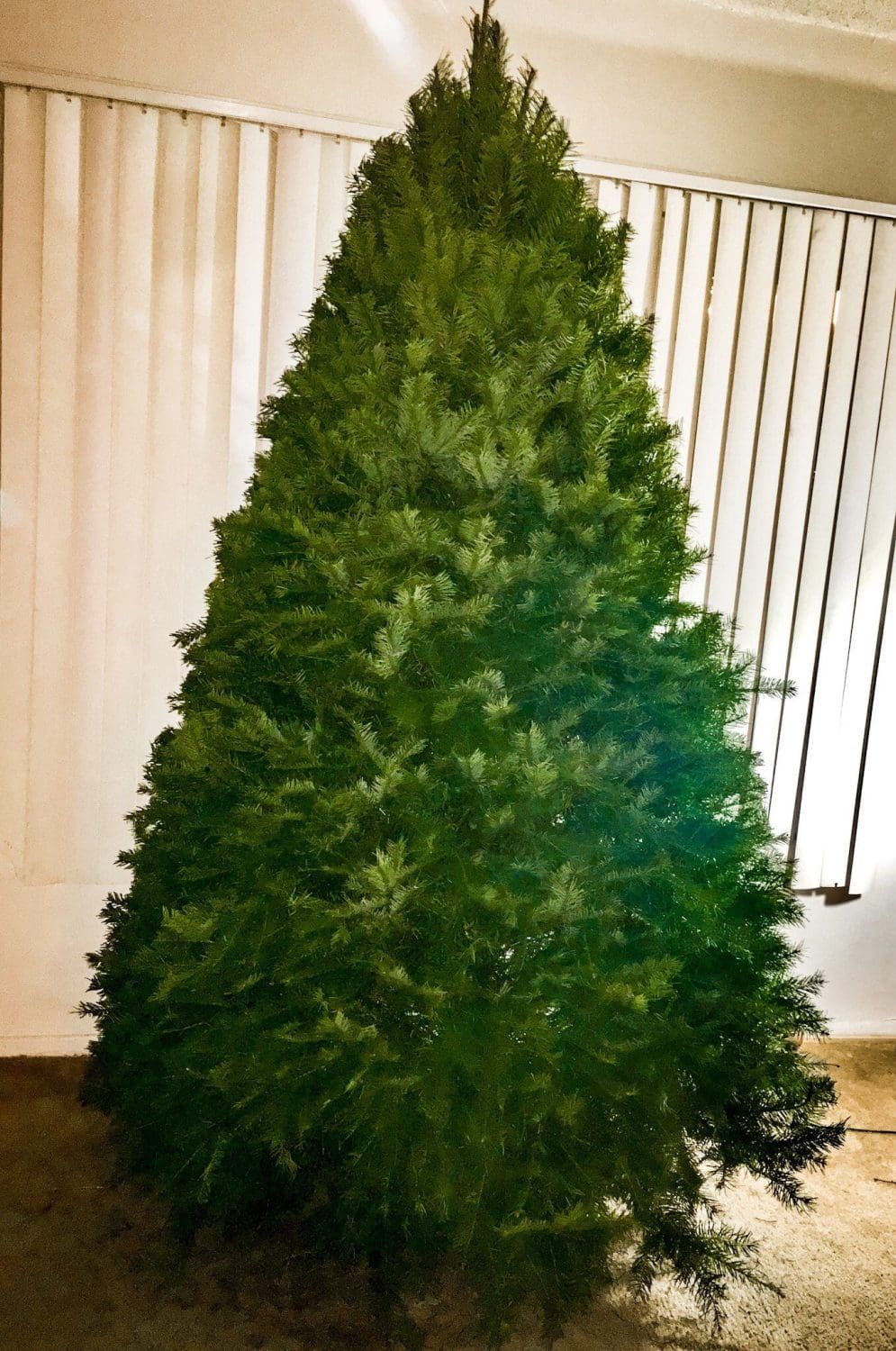 Does Costco Sell Christmas Trees? They Do, and They Are Epic!