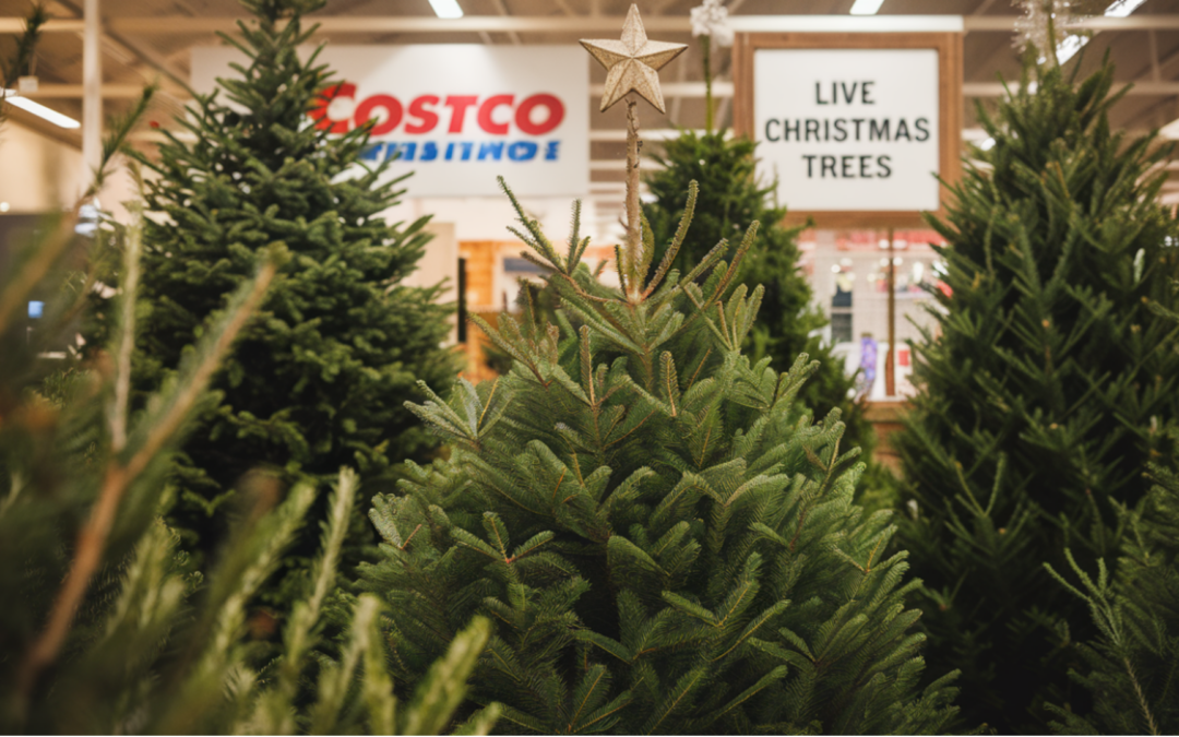 Does Costco Sell Live Christmas Trees?